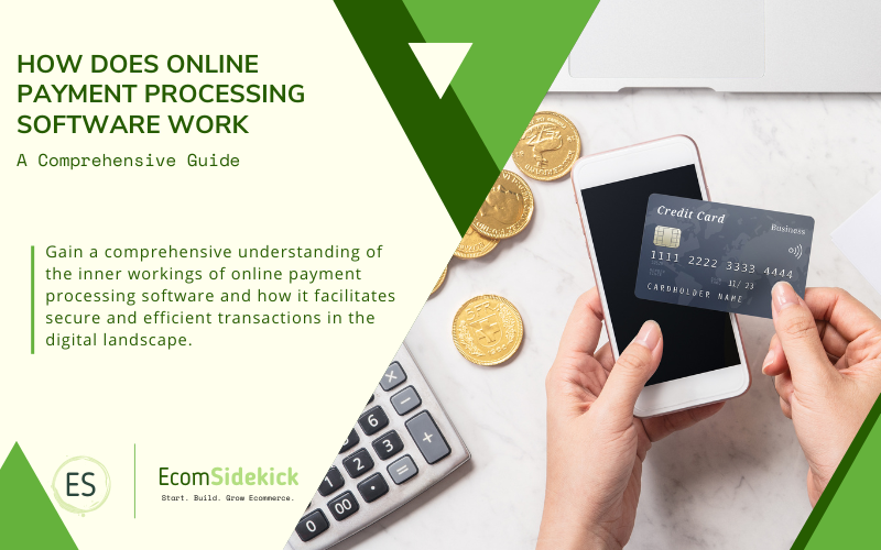 How Does Online Payment Processing Software Work: A Step by Step Overview