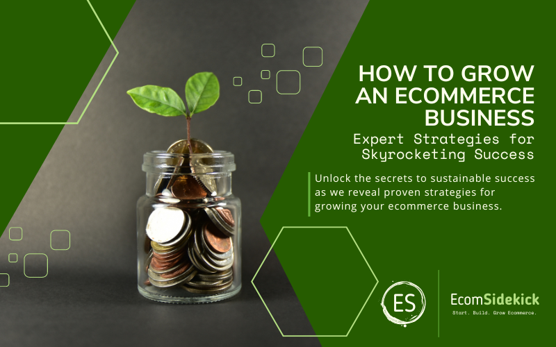 how to grow an ecommerce business Proven Strategies and Tips